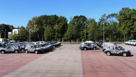 jeep renegade fleet parade