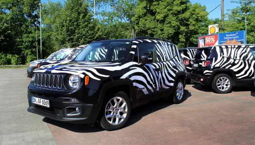 jeep renegade fleet parade