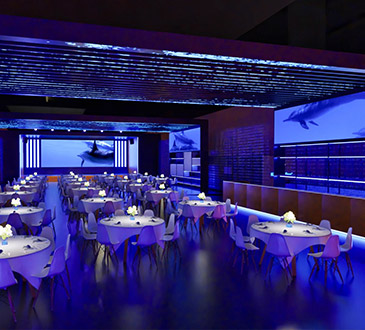 Jubiläumsevent LED Screens